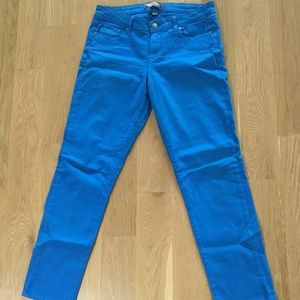 Paige and Zara Basic Women's Denim Lot - Size 10